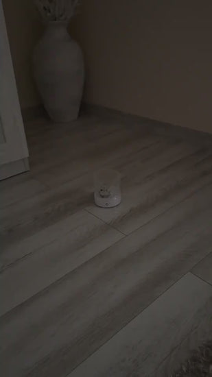 1.mp4
