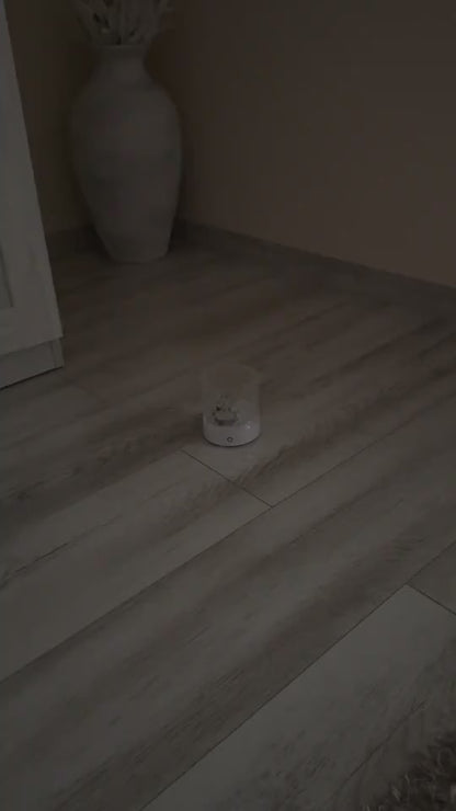 1.mp4