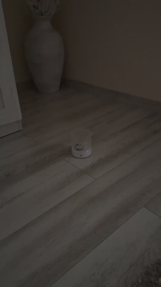 1.mp4